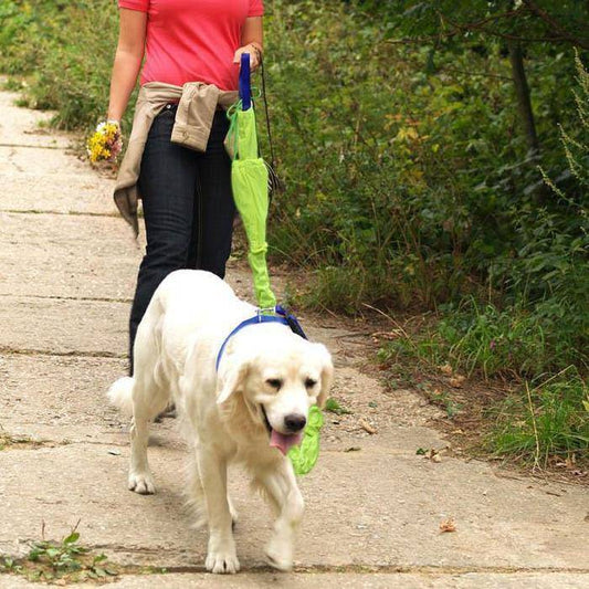 Reflective Dog Leash Set_0